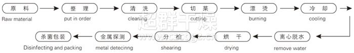 脱水蔬菜带式干燥工艺流程